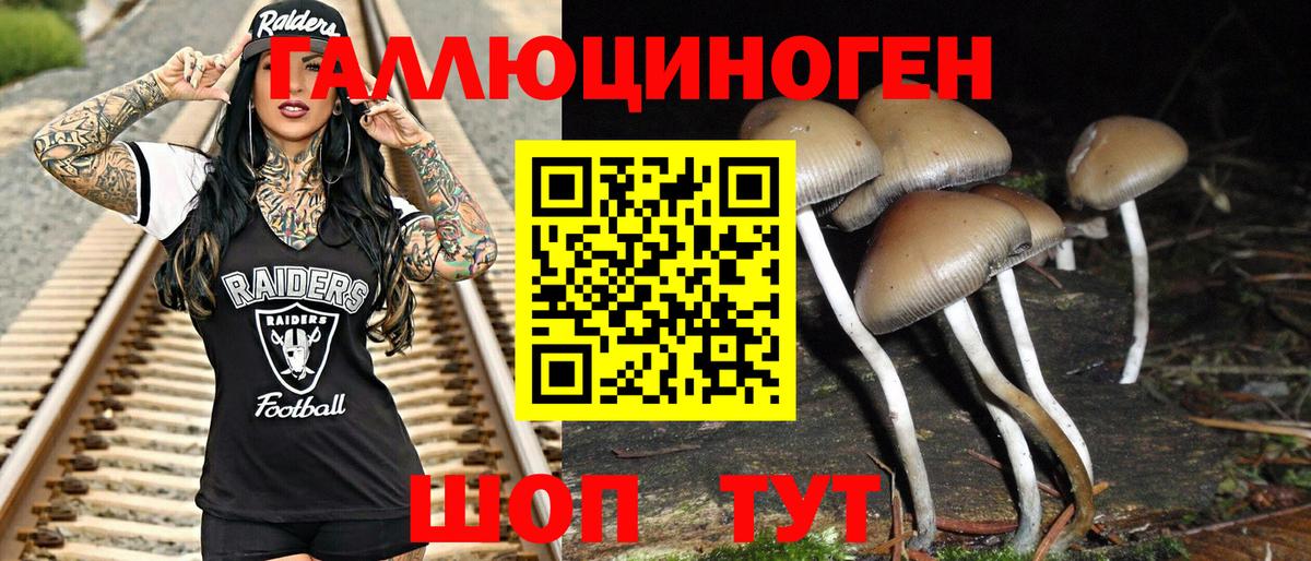 Псилоцибиновые грибы прущие грибы Туапсе